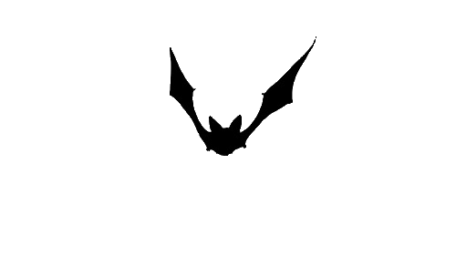 Flying Bat